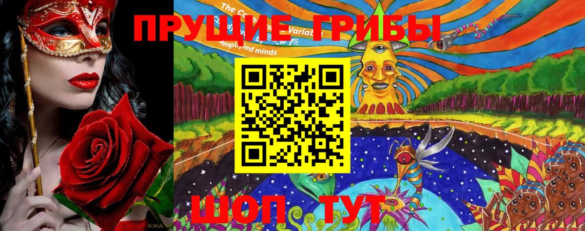 Псилоцибиновые грибы мицелий Вятские Поляны