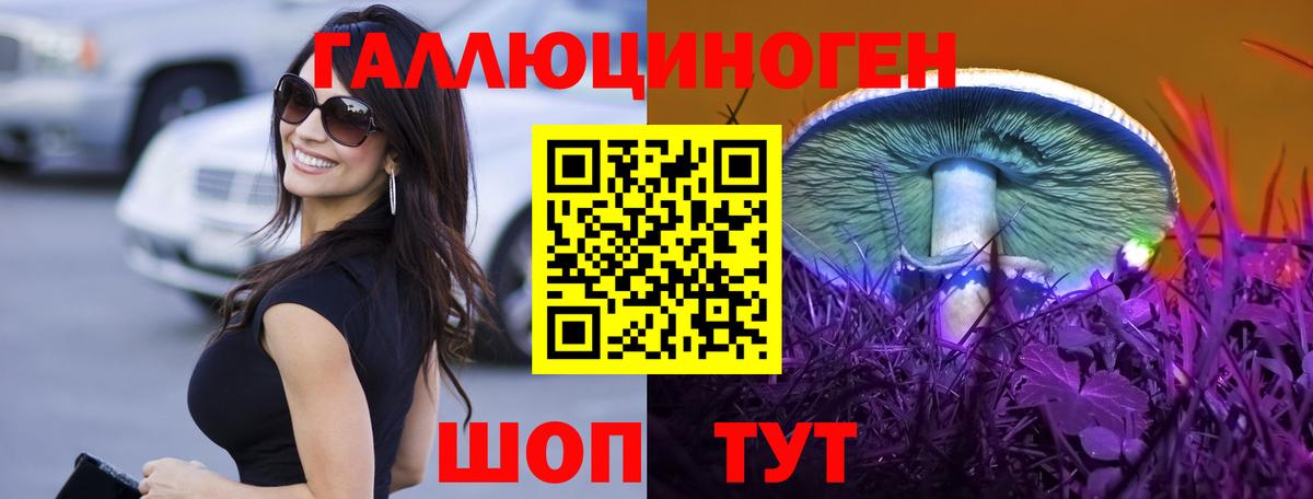 Вятские Поляны  купить  цена  Вход с VPN  Галлюциногенные грибы GOLDEN TEACHER 